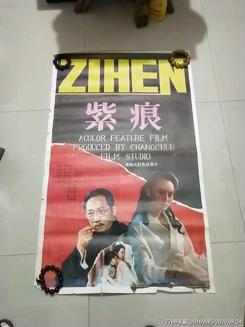 中密歇根大学设计学位证